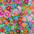 Hummingbird Garden
