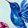 Sapphire Hummingbird